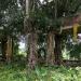 Ruins of the 