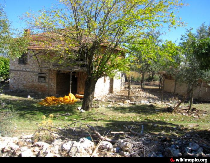 dogankoy