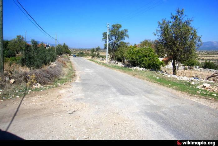 dogankoy