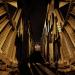 Mexico bridge in Antwerp city