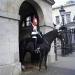 Cavalry post at Horse Guards in London city