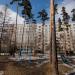 Белореченская ул., 29 в городе Екатеринбург