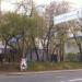 «Жилой дом» — памятник архитектуры в городе Владивосток
