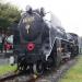 D51-1072 in Kobe city