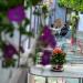 Καφενείο''Το Λούκι'' στην πόλη Κομοτηνή