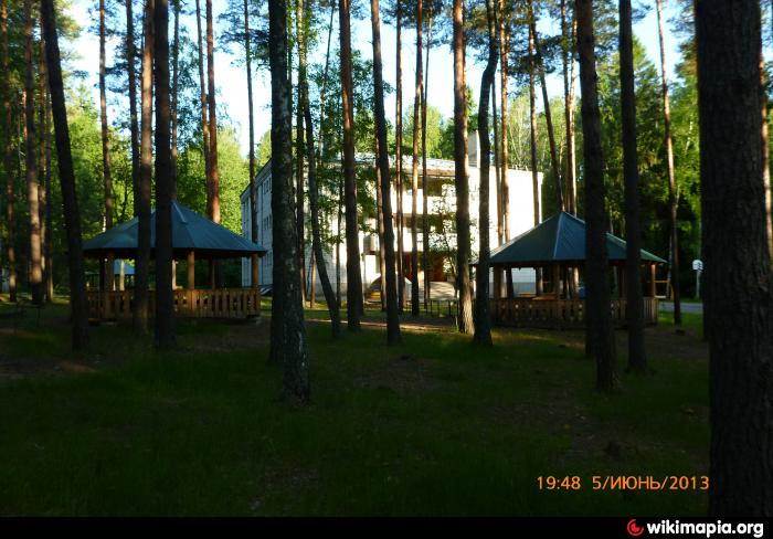 Детский оздоровительный лагерь «Лесной городок»