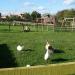 Gorse Hill City Farm in Leicester city