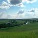 Saburovo
