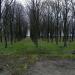 Посадка в городе Запорожье