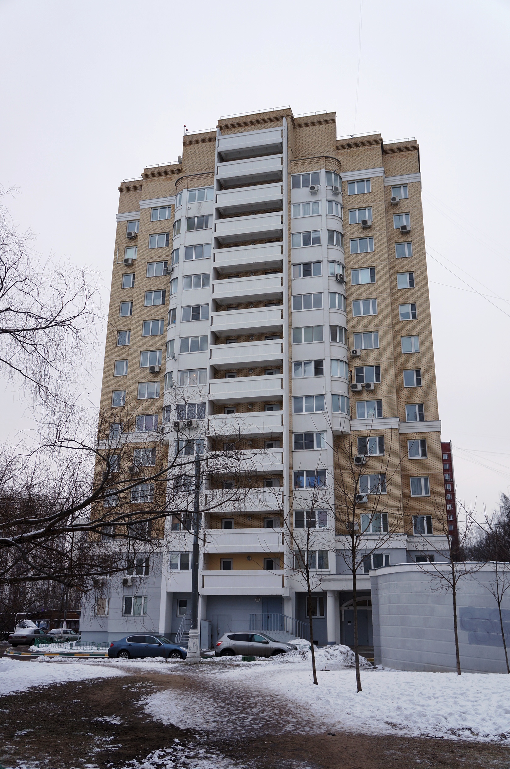 Вик студио ореховый бул 33а фото