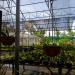 Taman Agrowisata & Orchid Center