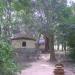 Ancient and Foremost Bahulakshi Temple A Sati Peeth