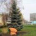 Бывшая скульптура «Старый башмак» в городе Гомель