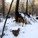 Жилище бродяг в городе Екатеринбург