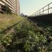 Harumi Line abandon in Tokyo city