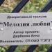 Композия «Мелодия любви» в городе Гомель