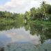 Charachira Pond in Thiruvananthapuram city