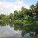 Charachira Pond in Thiruvananthapuram city