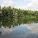 Charachira Pond in Thiruvananthapuram city