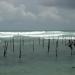 Weligama