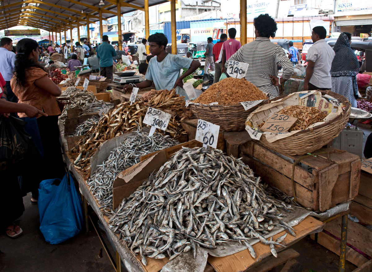 Hardware bazaar Colombo