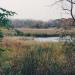 Manhattan Marsh Nature Preserve, The Buckeye Basin