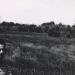 Manhattan Marsh Nature Preserve, The Buckeye Basin