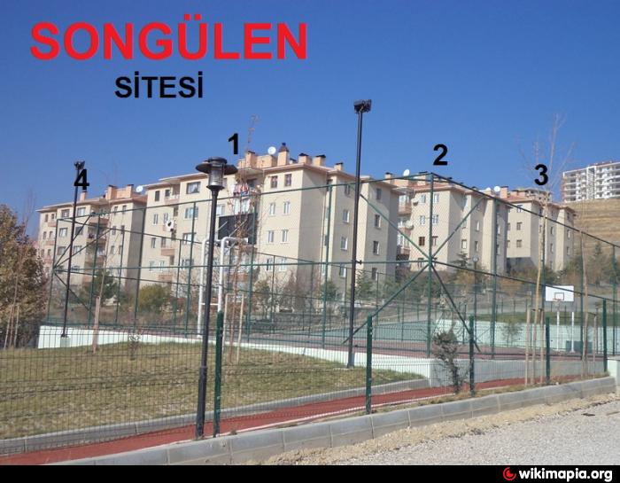 wikimapia