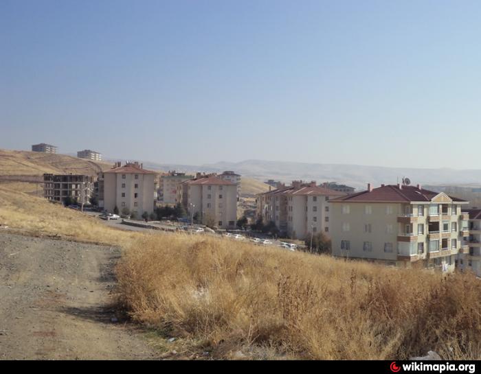 wikimapia
