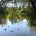 Bogdanovsky Pond