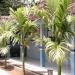 SMP ISLAM FQ Wonokerto (id)