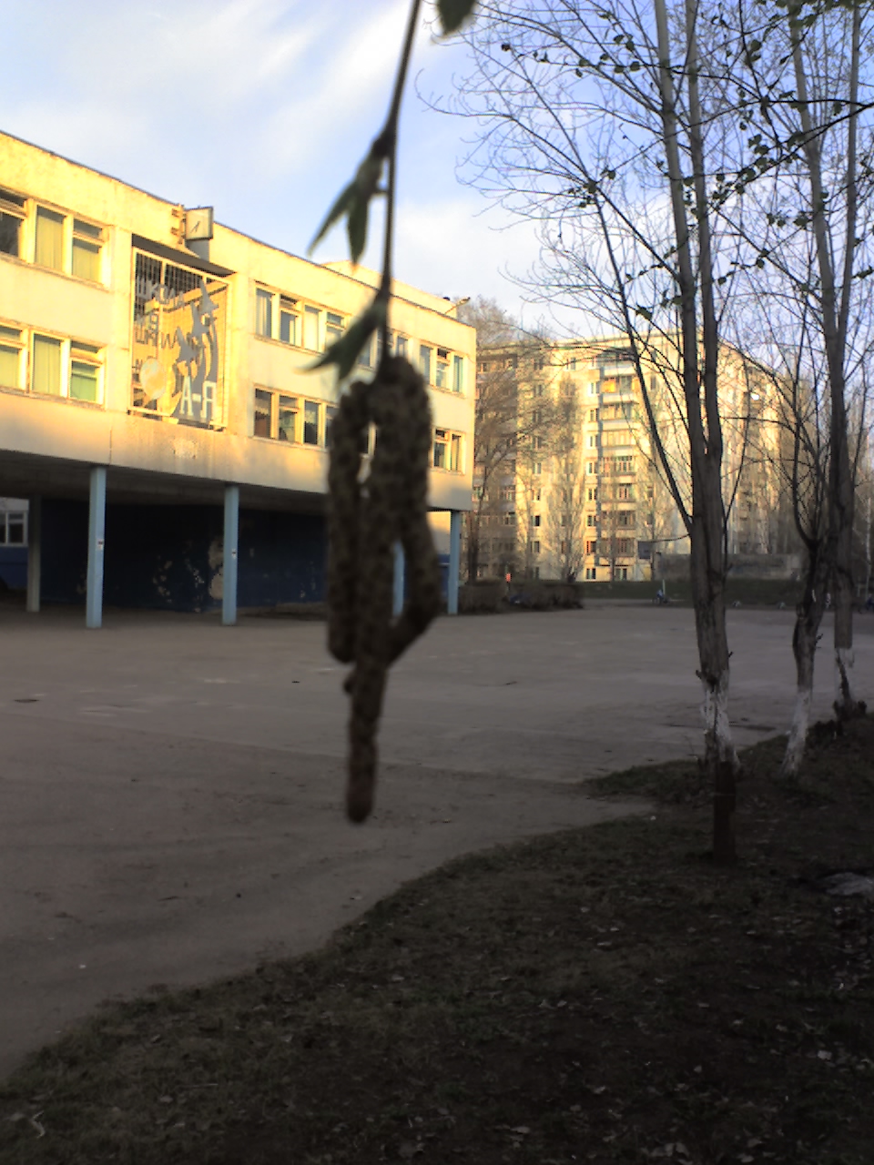 Школа № 9 - Ульяновск