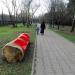 Скамья «Дубовая простота» в городе Гомель