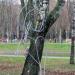 Скульптура «Единение» в городе Гомель