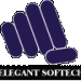 Elegant Softech Systems in Noida city