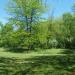 Заброшенный ландшафтный парк «Казённый сад» в городе Керчь