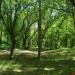 Заброшенный ландшафтный парк «Казённый сад» в городе Керчь