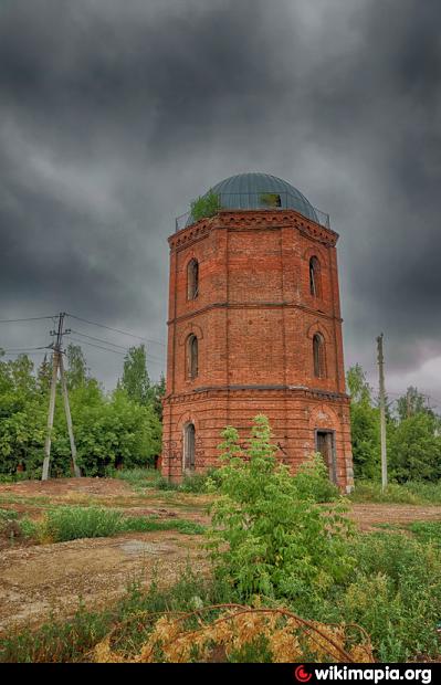 Водонапорная башня в Новосокольническом районе стала смертельным пленом для десятка аистов
