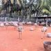 Emu Farm in Coimbatore city
