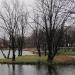Остров в городе Реутов