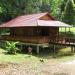 Educational Forest Bogor Agricultural University