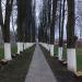 Аллея памяти в городе Ашукино