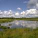 Водоём у левого берега реки Каменки в городе Мичуринск