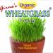 GIRMES WHEATGRASS in Pune city