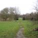 Shady Lane Arboretum in Leicester city