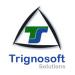 TRIGNOSOFT Solution - India's leading SEO Company in Noida city