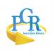 PGR Real Estate Broker in Dubai city