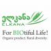 Elkana - Biological Farming Association in Tbilisi city