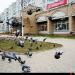 Универсам «Пятёрочка» в городе Ковров