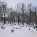 Парковый сквер «Берёзовая роща» в городе Москва